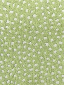 Galaxy Aloe Tempo Fabrics